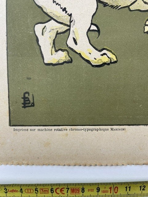 poster Le Petit Journal Chiens et chat 1900-1914, Ophalen of Verzenden, Zo goed als nieuw, A1 t/m A3, Dier of Natuur