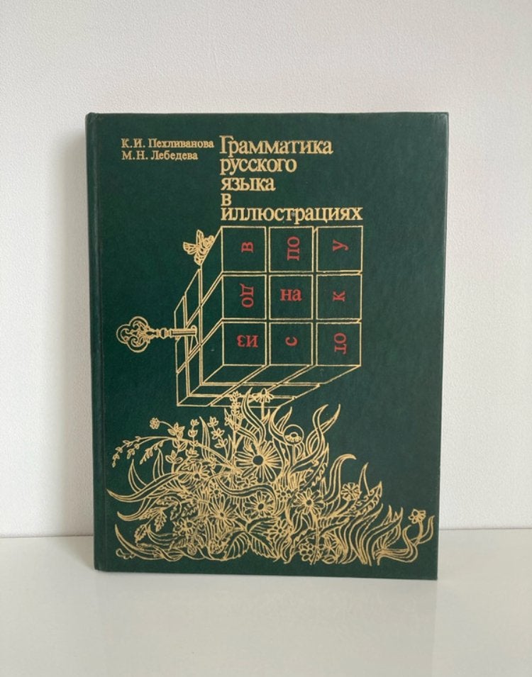 Russische grammatica in illustraties - Грамматика русского…, Boeken, Ophalen of Verzenden, Beta, WO