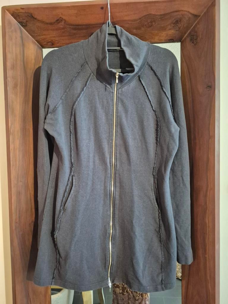 Cora Kemperman vest maat XL, Kleding | Dames, Maat 42/44 (L), Ophalen of Verzenden, Cora Kemperman, Grijs