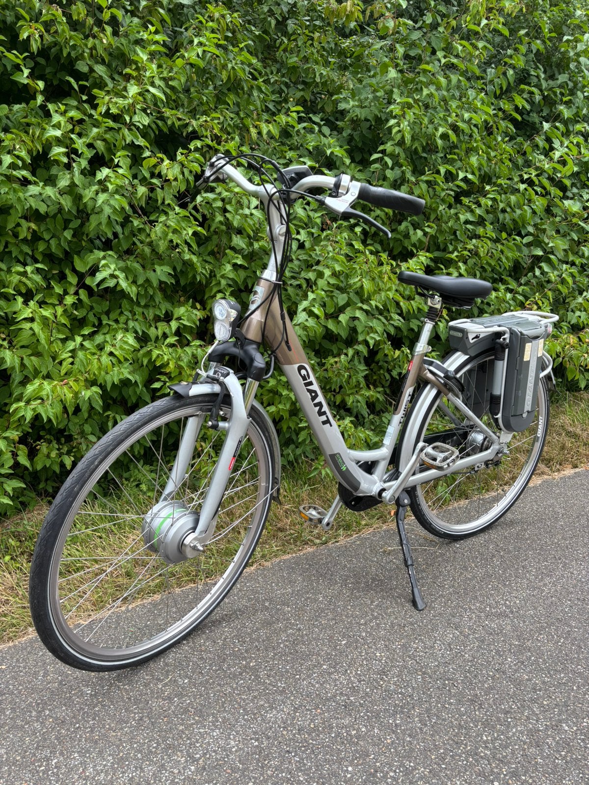 Elektrische Giant Twist Double, 47 tot 51 cm, Ophalen, Zo goed als nieuw, Overige merken