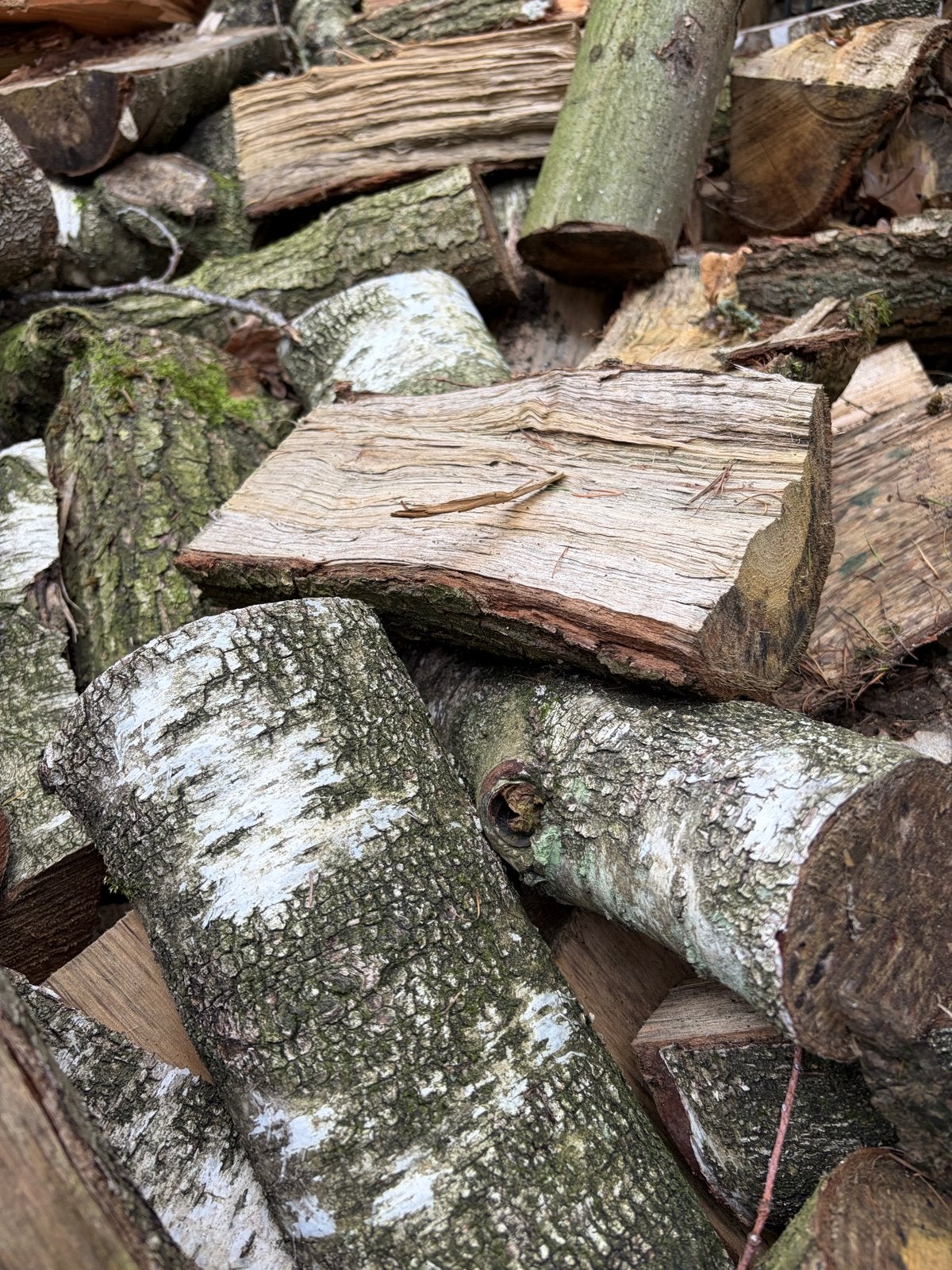 Berken en Eiken Brandhout - Droog en Direct te Stoken, Tuin en Terras, 3 tot 6 m³, Ophalen of Verzenden, Berkenhout, Blokken
