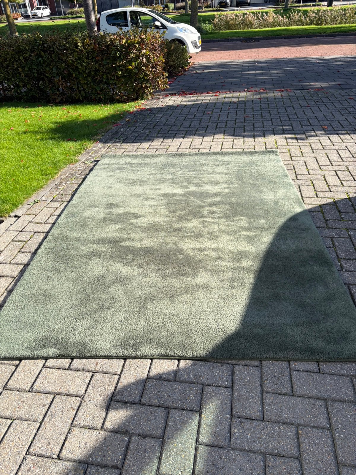 Groen vloerkleed/tapijt, Ophalen, 150 tot 200 cm, 200 cm of meer, Zo goed als nieuw