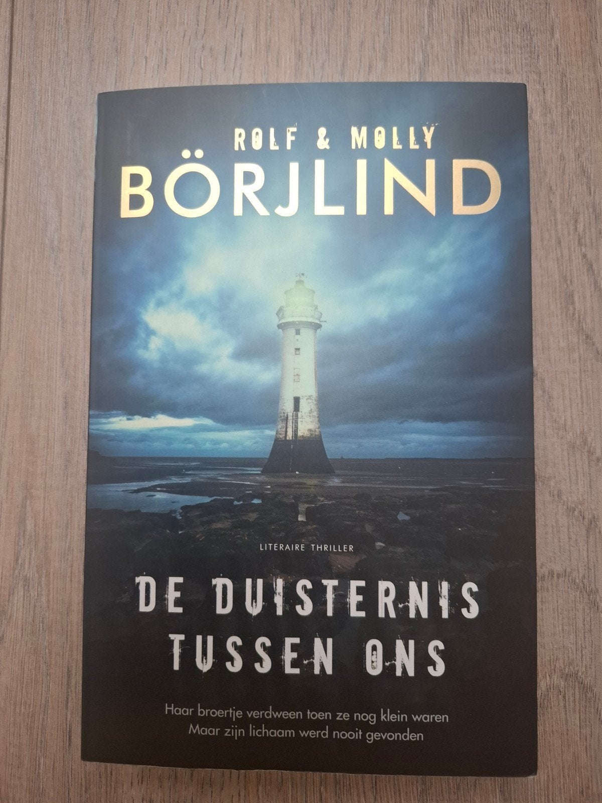 Rolf & Molly Börjlind - De duisternis tussen ons, Boeken, Thrillers, Ophalen of Verzenden, Gelezen
