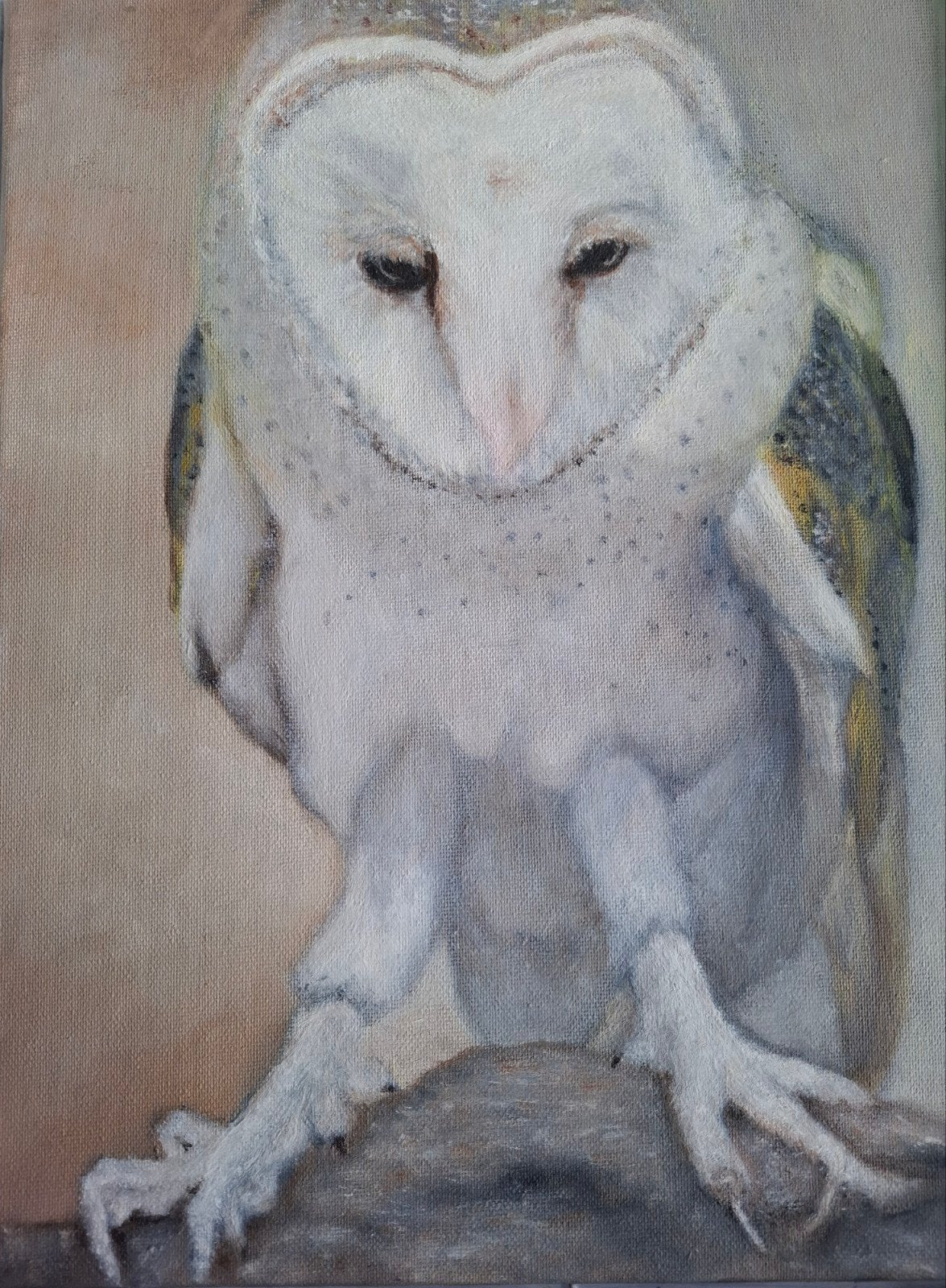 Onduidelijk gesigneerd - Kerkuil - olieverf, Antiek en Kunst, Ophalen of Verzenden, Handgeschilderd, Olieverf, Dieren