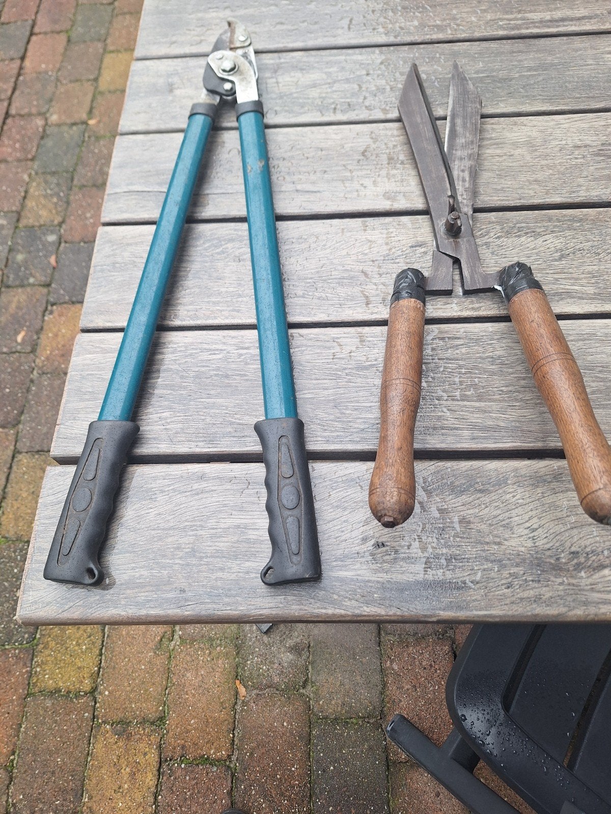 Heggenschaar en Takkenschaar, Tuin en Terras, Ophalen