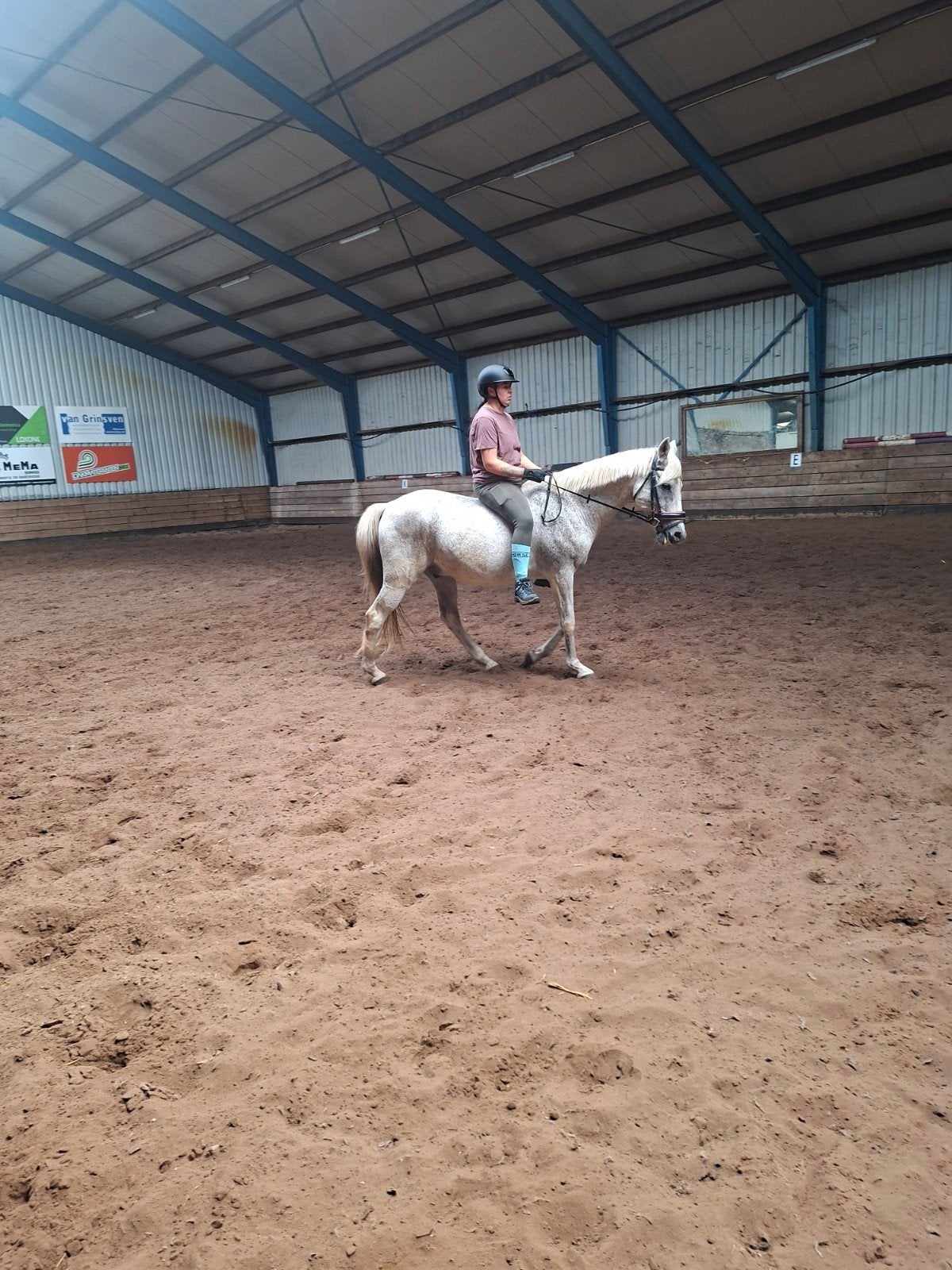 lief paard voor de handige ruiter, B, Ruin, 160 tot 165 cm, 11 jaar of ouder