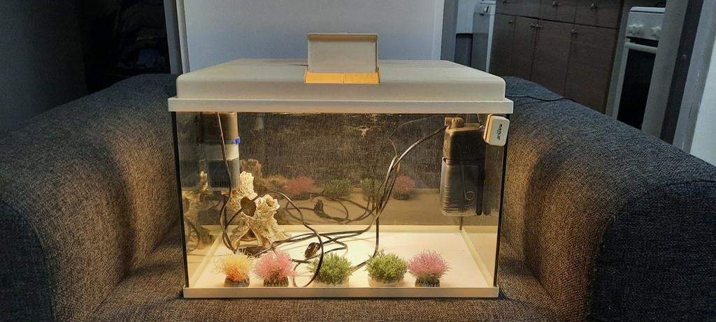 Aquarium, Ophalen, Gebruikt, Leeg aquarium