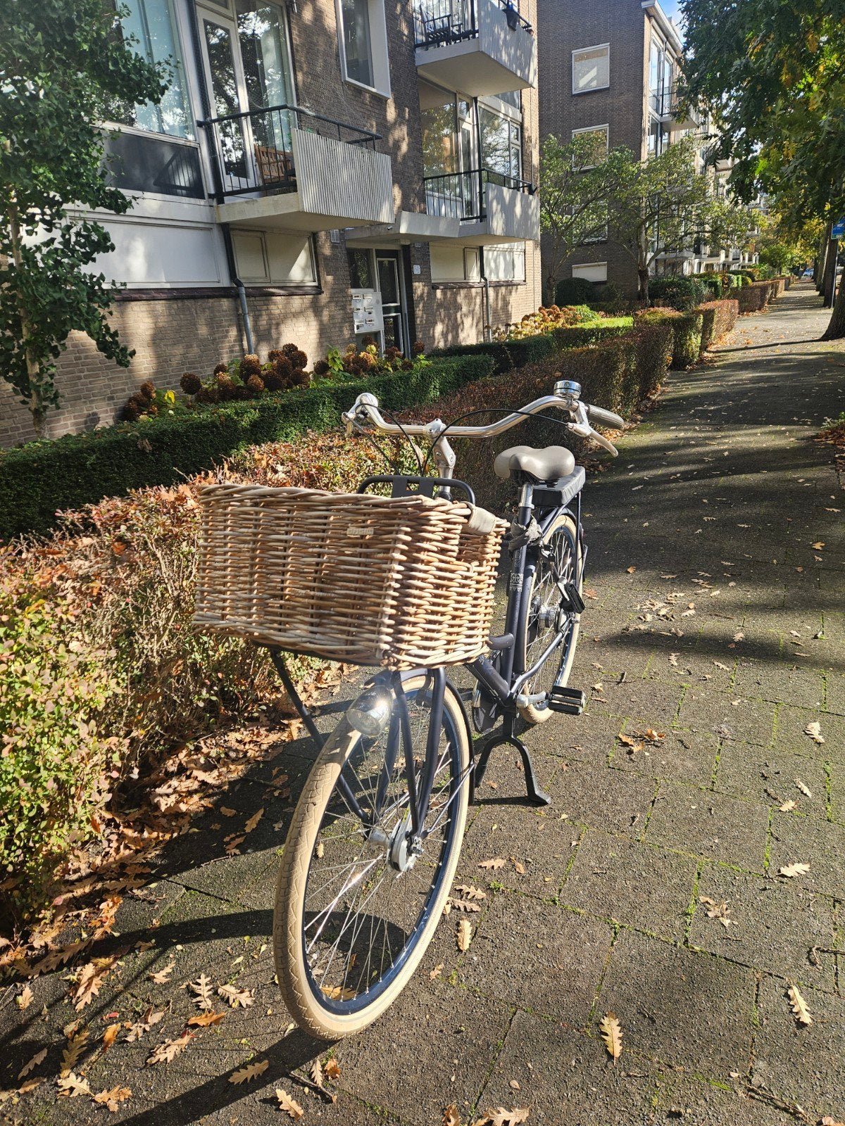 Foto 7 van Cortina roots transportfiets/ moederfiets 28 inch