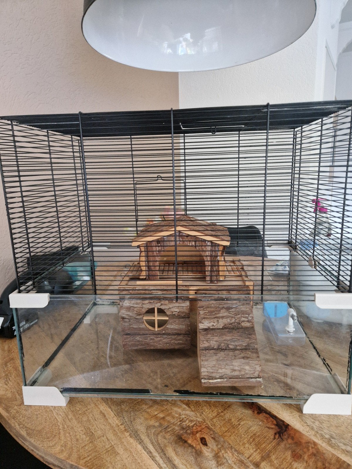 Knaagdier/hamsterkooi, Dieren en Toebehoren, Kooi, Gebruikt, Minder dan 75 cm, Hamster