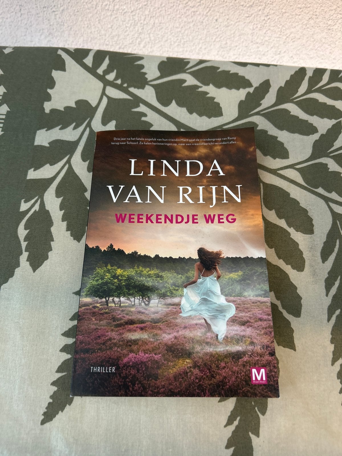 Weekendje Weg - Linda van Rijn (Thriller), Ophalen, Zo goed als nieuw, Nederland