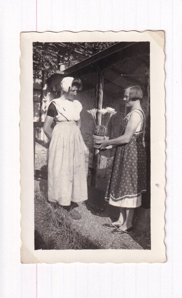 730Y foto vrouw Zeeuwse klederdracht krijgt bloeiende cactus, Ophalen of Verzenden, 1920 tot 1940, Ongelopen, Zeeland