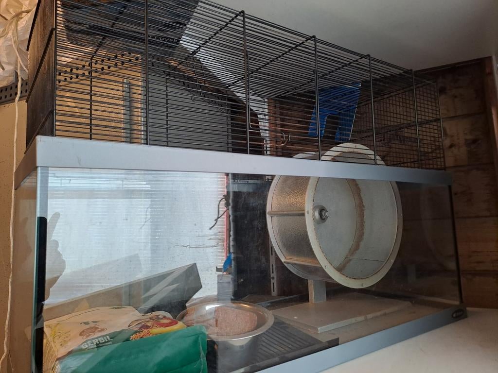 Gerbilarium, verblijf voor hamster, rat, muis, gerbil, Minder dan 60 cm, Kooi, Ophalen of Verzenden, Muis