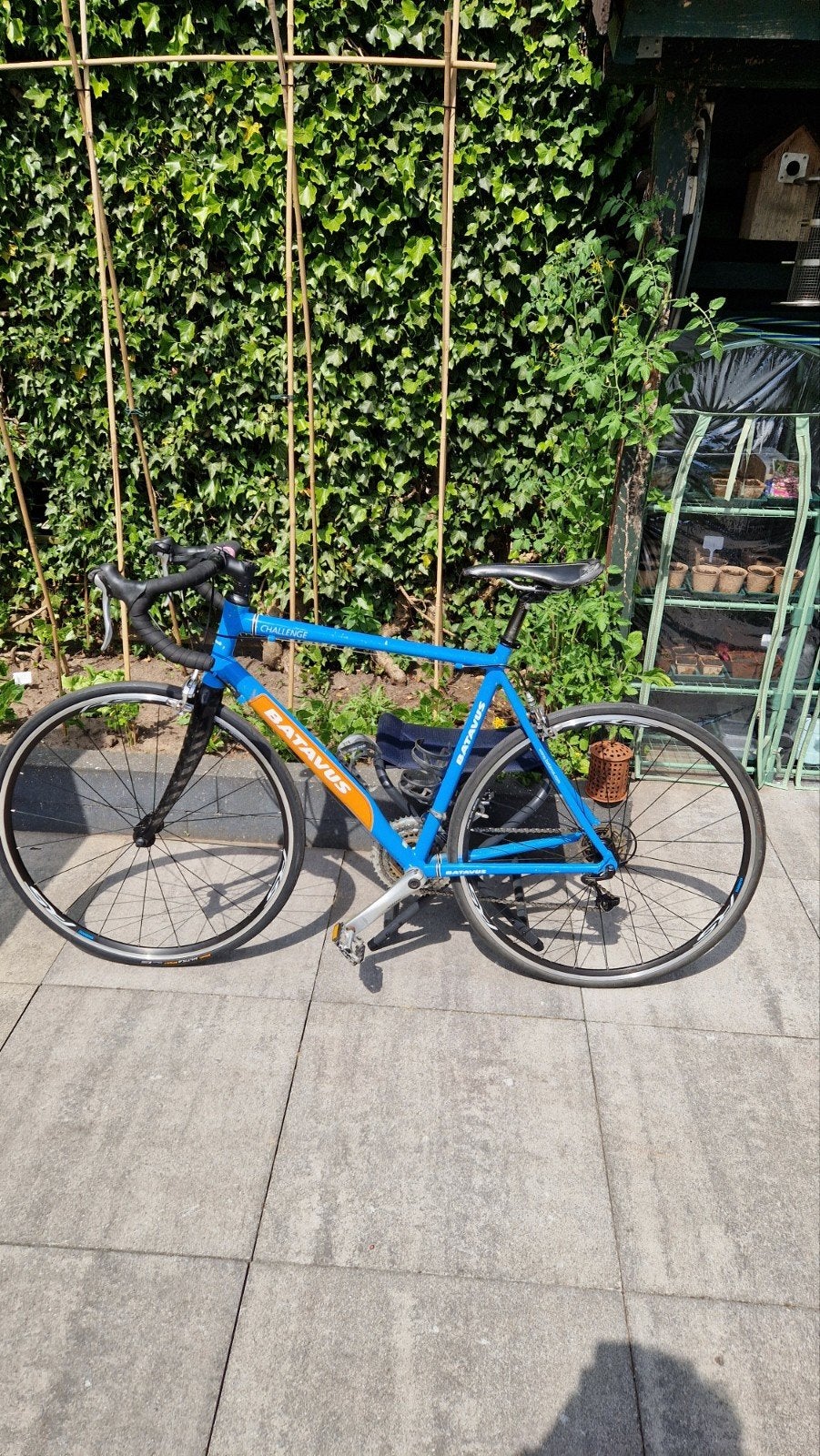 Batavus challenge racefiets, Ophalen, 28 inch, Gebruikt, Batavus