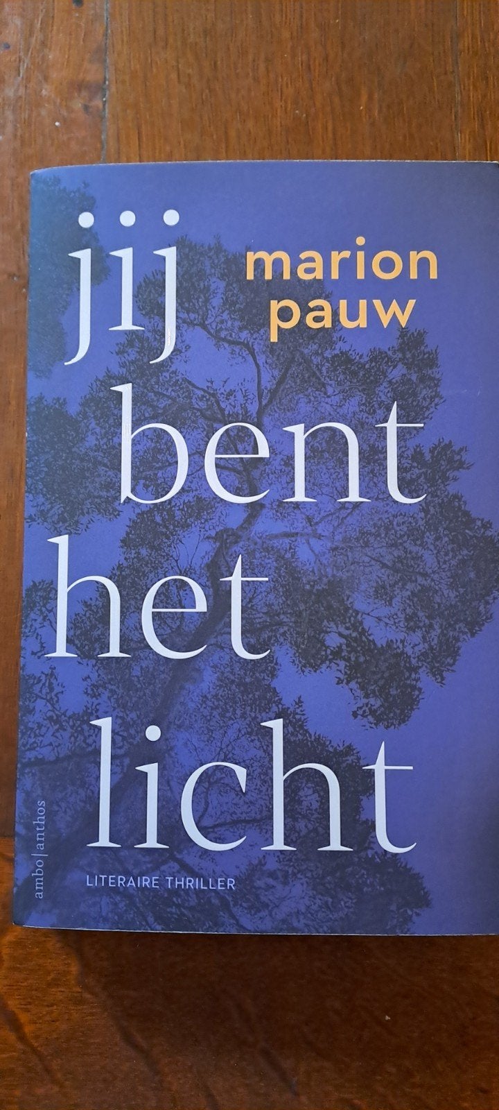 Marion Pauw - Jij bent het licht, Boeken, Ophalen of Verzenden, Zo goed als nieuw, Marion Pauw