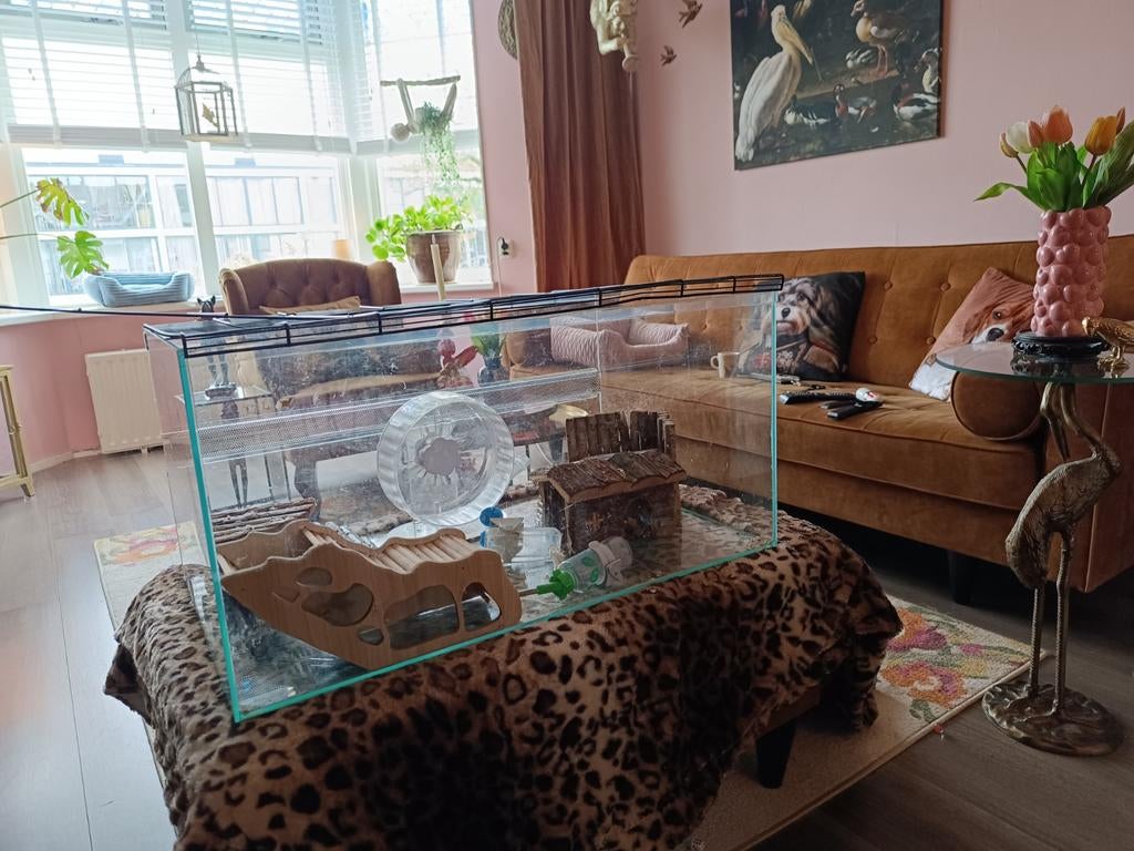 Dwerghamster kooi//aquarium/knaagdier terrarium 75x45x37 cm, Gebruikt, 75 tot 110 cm, Ophalen, Minder dan 60 cm