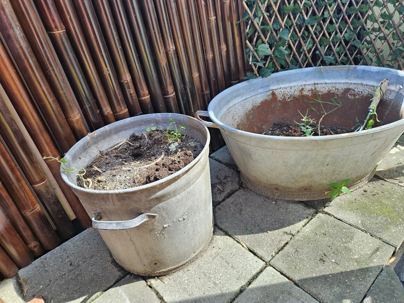 2 zinken teilen, Ophalen