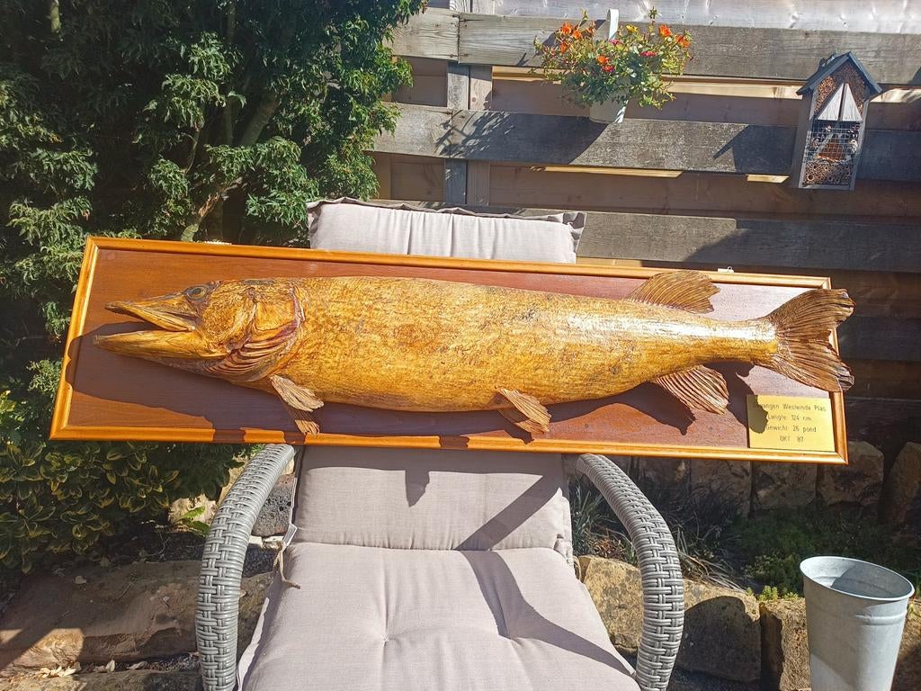Gevulde snoek op houten plank - 124 cm, Antiek en Kunst, Overige typen, Natuurlijk materiaal, Ophalen of Verzenden, Handgemaakt