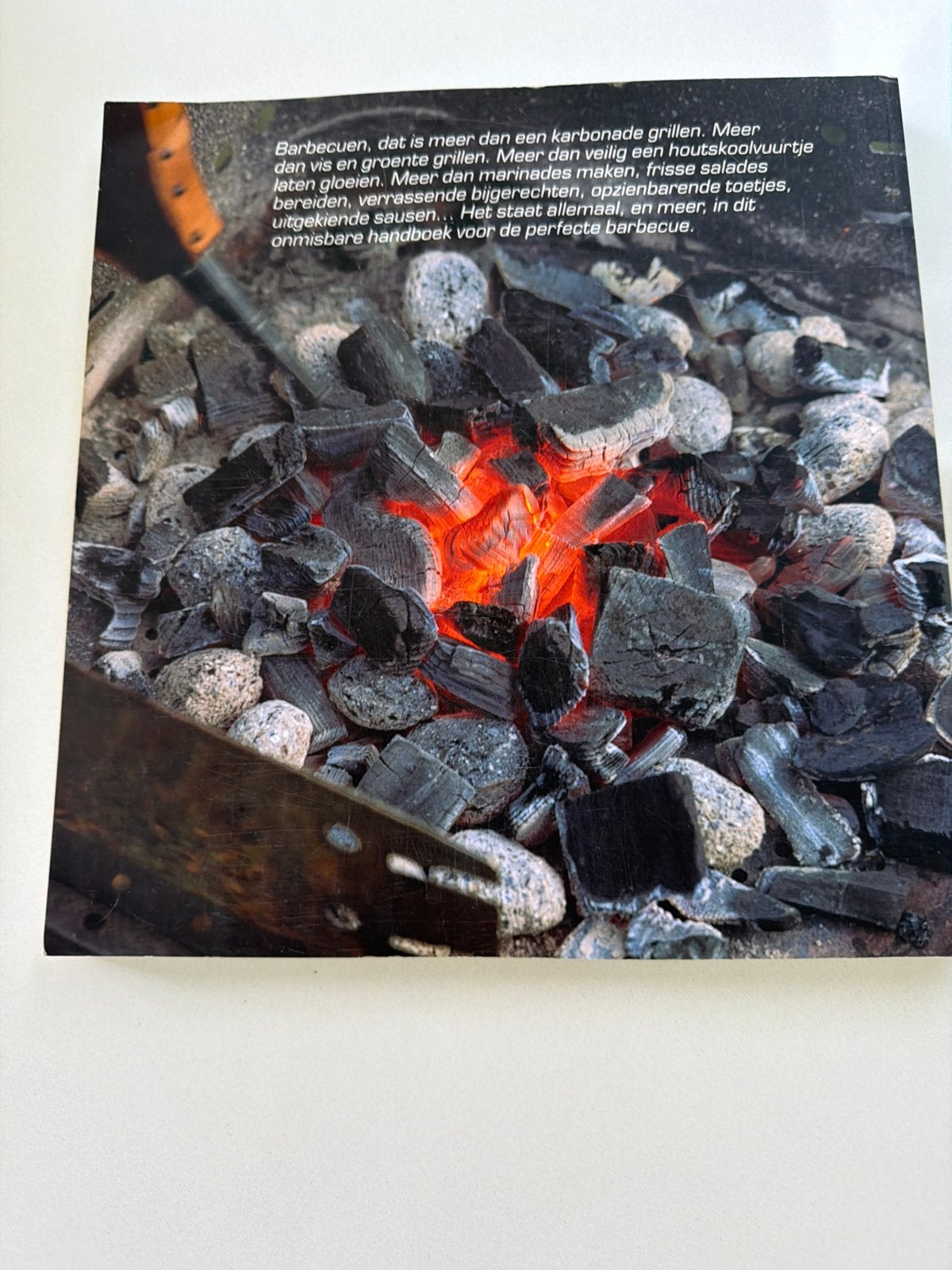 Foto 2 van Het Barbecueboek (vooral voor mannen) - Albert Heijn