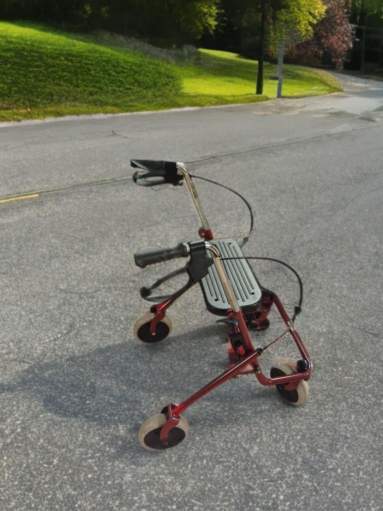 Rollator, Diversen, Rollators, Ophalen, Opvouwbaar