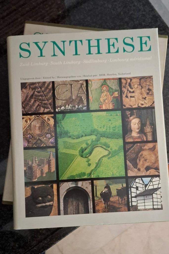 SYNTHESE Zuid-Limburg - Boek over de regio, Ophalen of Verzenden, Gelezen, Onbekend, Nederland