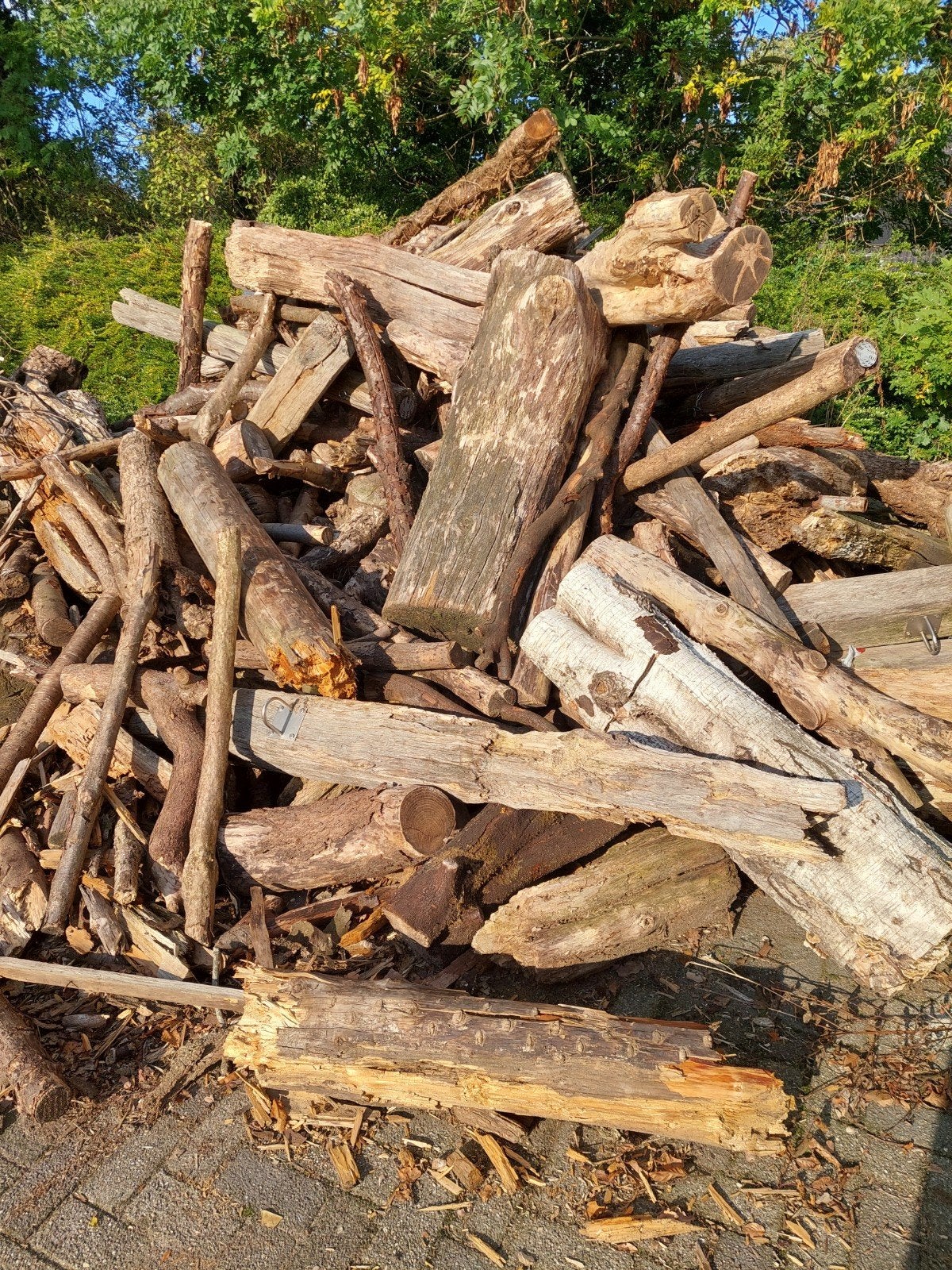 Diverse houtblokken en takken voor brandhout of decoratie, 6 m³ of meer, Ophalen, Overige houtsoorten, Stammen