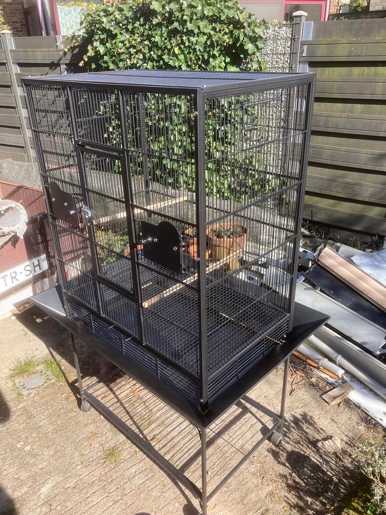 Keddoc vogelkooi alaska, Dieren en Toebehoren, Vogels | Hokken en Kooien, Ophalen, Zo goed als nieuw, Metaal, Vogelkooi