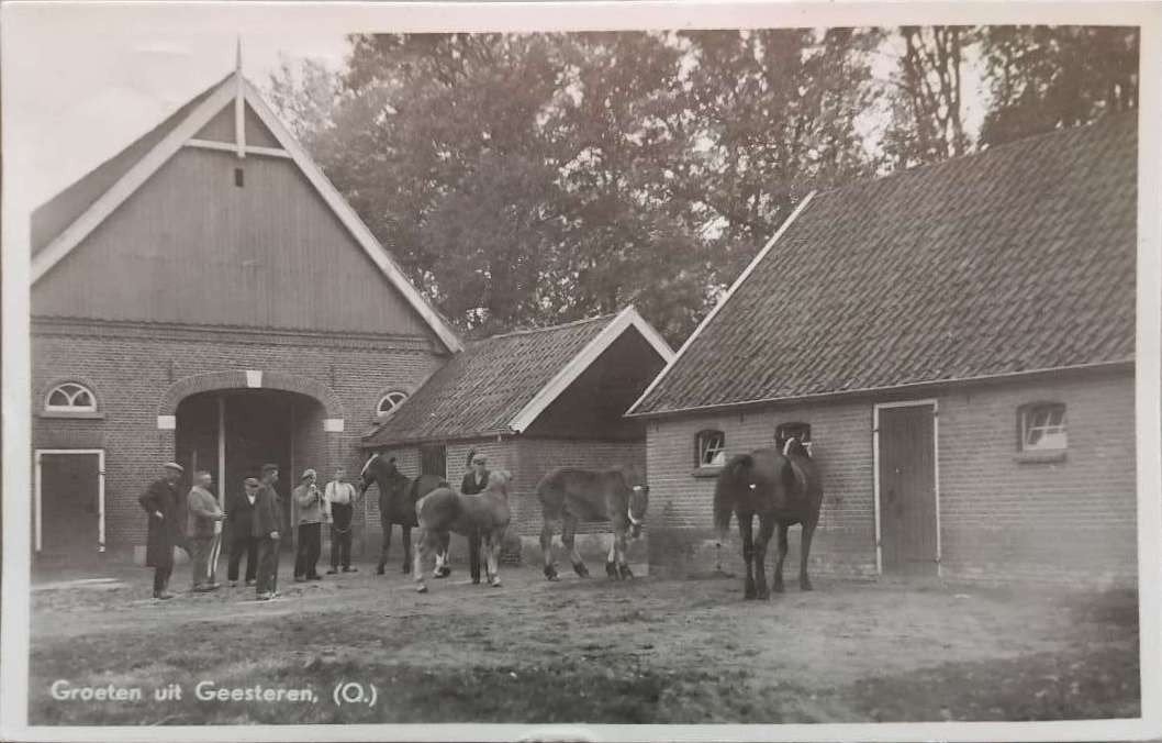 Fotokaart boerenleven Geesteren (Overijssel) – j. 40/50, Ophalen of Verzenden, 1940 tot 1960, Gelopen, Overijssel