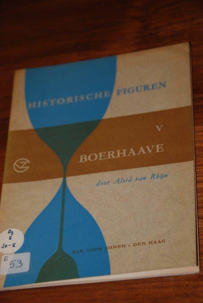 Boerhave., Boeken, Ophalen of Verzenden, Gelezen, Aleid van rhijn, Fictie