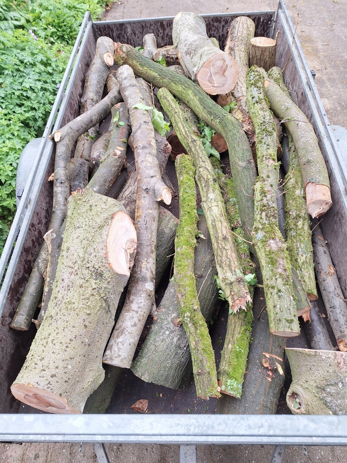 Haardhout ophalen., Minder dan 3 m³, Ophalen