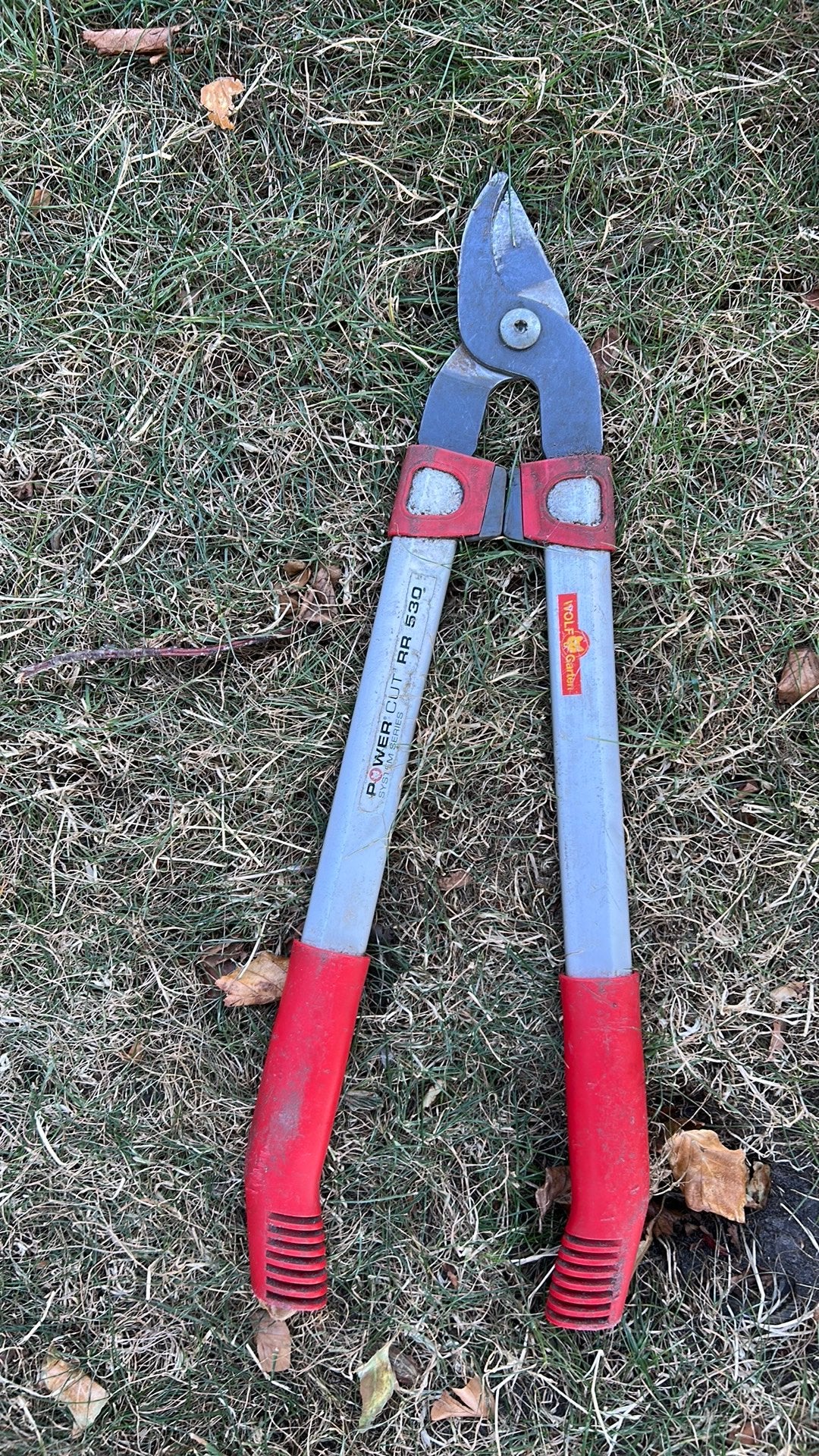 WOLF-Garten Power Cut RR 530 Takkenschaar, Ophalen, Zo goed als nieuw, 30 t/m 39 mm
