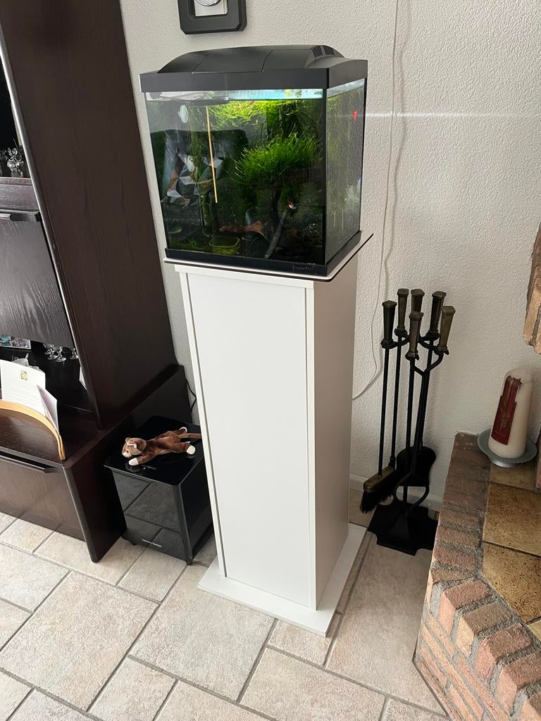 Aquarium (SuperFish Start 30) + Aquariumzuil, Dieren en Toebehoren, Ophalen, Inclusief vissen, Superfish, Gevuld zoetwateraquarium