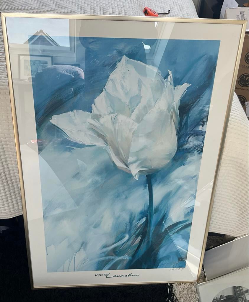 Ingelijste Litho van Igor Levashev - Witte Tulp, Antiek en Kunst, Kunst | Litho's en Zeefdrukken, Ophalen