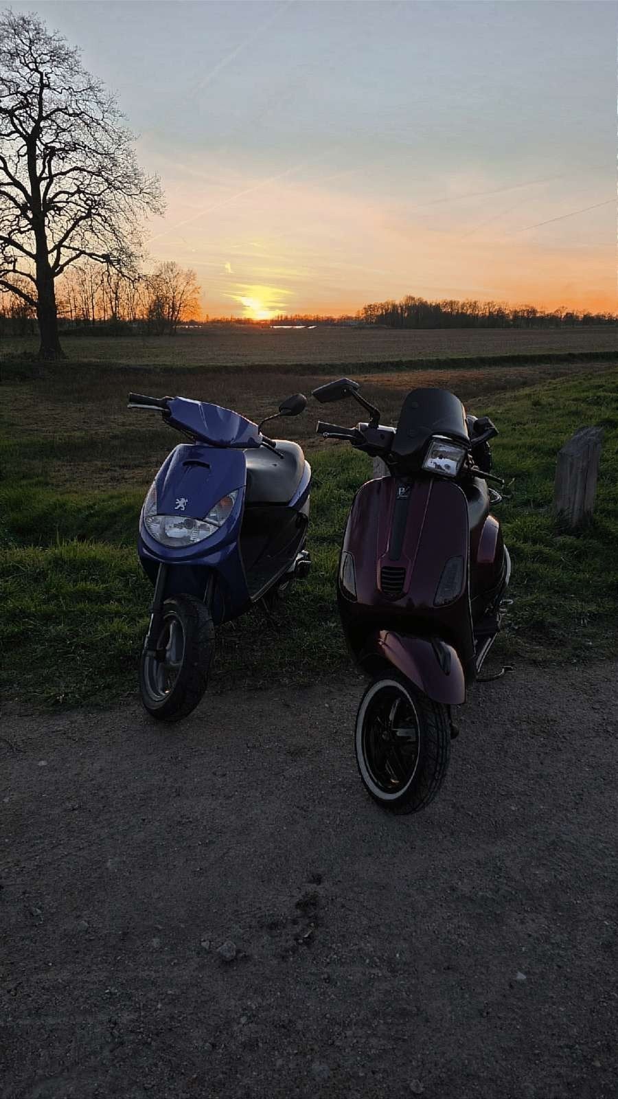 Vivacity 50cc, Fietsen en Brommers, Ophalen, Tweetakt, Gebruikt, 50 cc