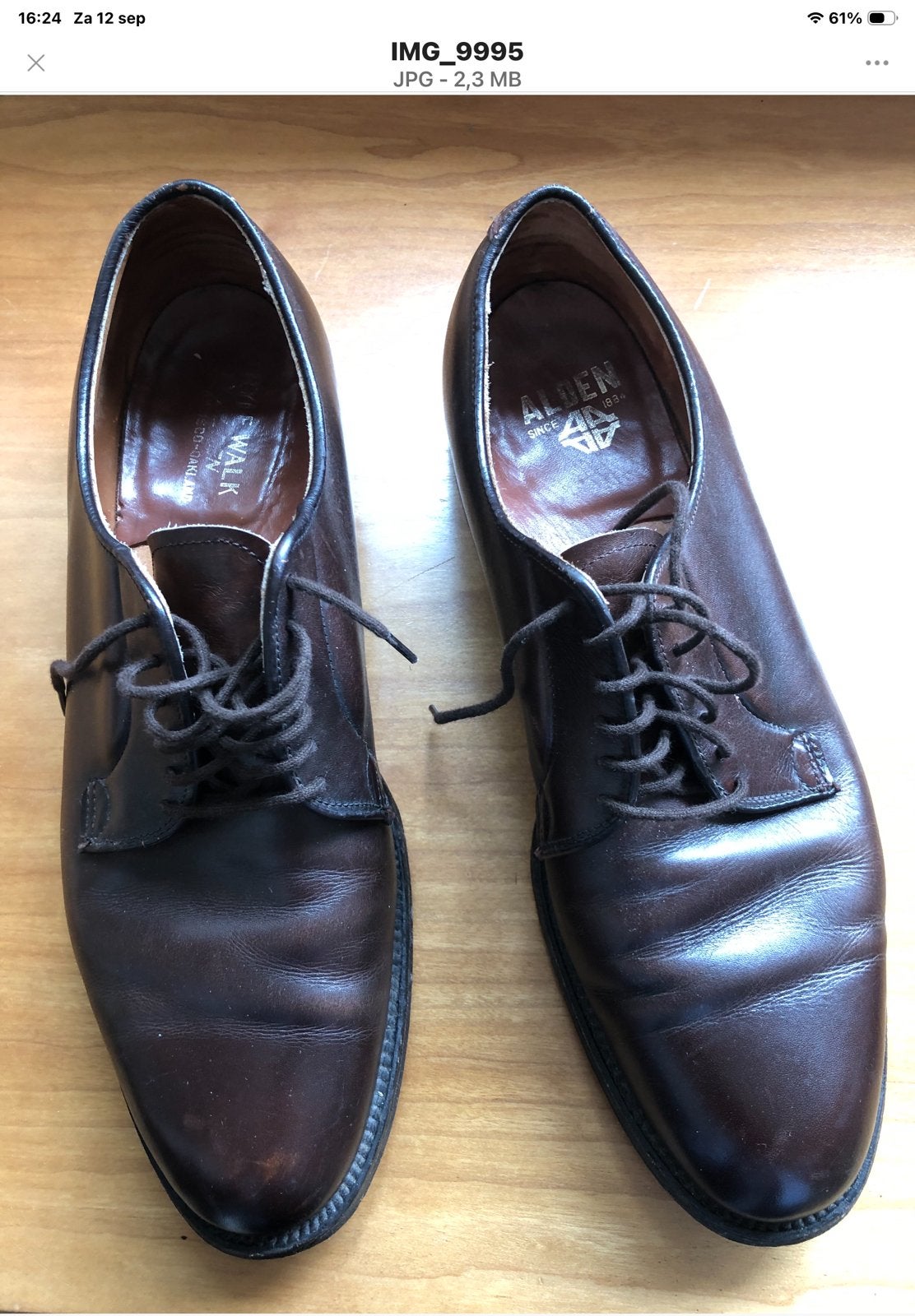 Alden Plain Toe Blucher, Bruin, Ophalen of Verzenden, Gedragen, Veterschoenen