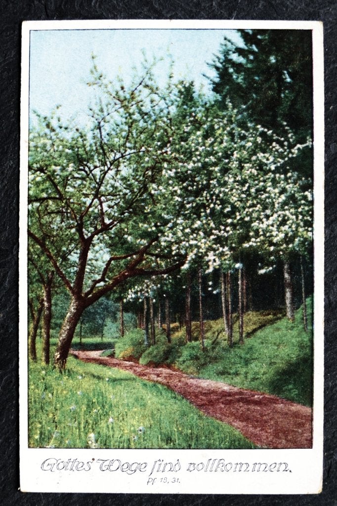 Gottes Wege sind vollkommen, 1929, natuur, religie, Verzenden, 1920 tot 1940, Gelopen, Natuur