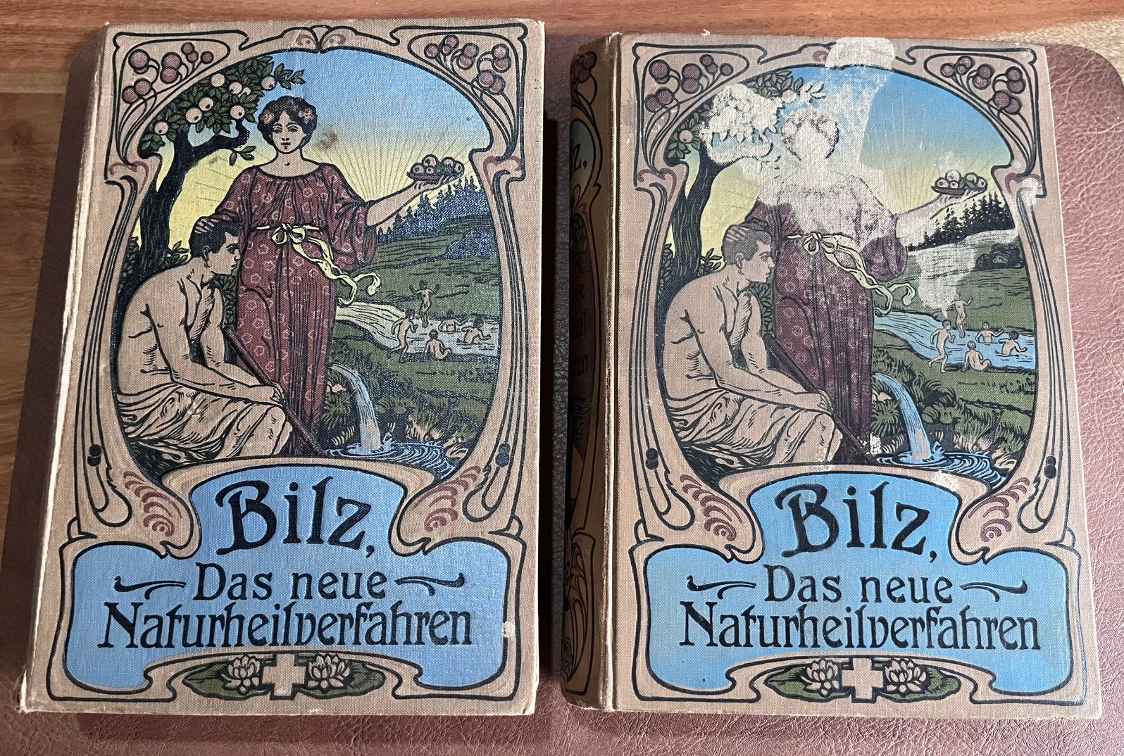 Bilz - Das Neue Naturheilverfahren - 2 Delen - antieke boeke, Antiek en Kunst, Ophalen of Verzenden