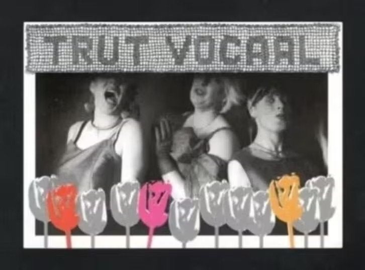 Ansichtkaart Trut Vocaal Muziek Zwolle Zwolschen Dillo ten K, Ophalen of Verzenden, 1980 tot heden, Ongelopen, Muziek
