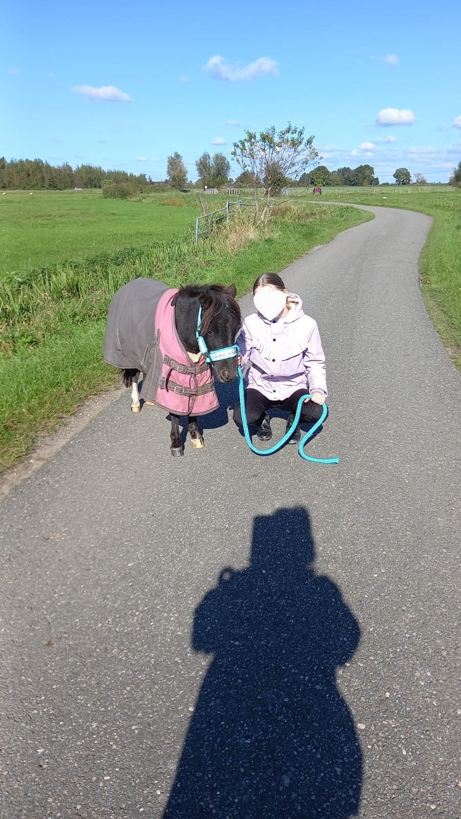 Lease/verzorgpony of paard gezocht verzorger aangeboden, Dieren en Toebehoren, Paarden en Pony's | Verzorgingsproducten, Ophalen of Verzenden