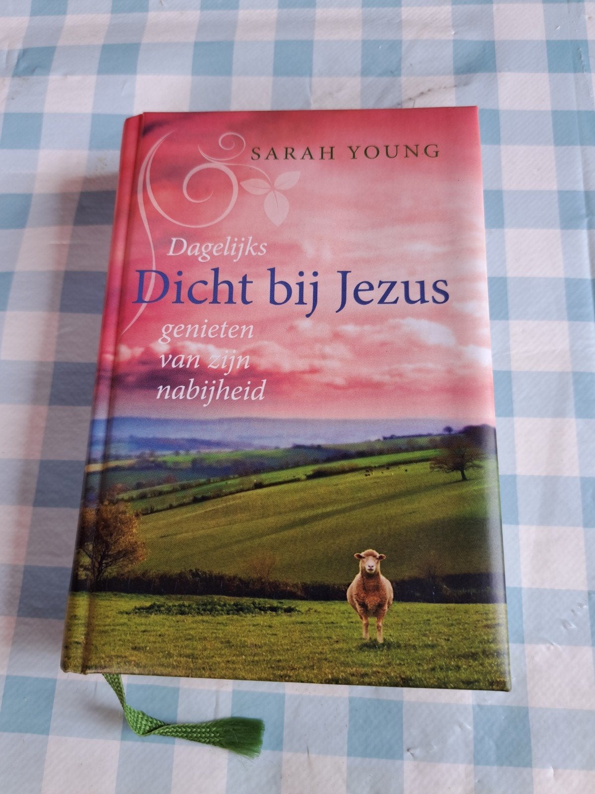 B1 : Dicht bij Jezus -  Sarah Young, Ophalen of Verzenden