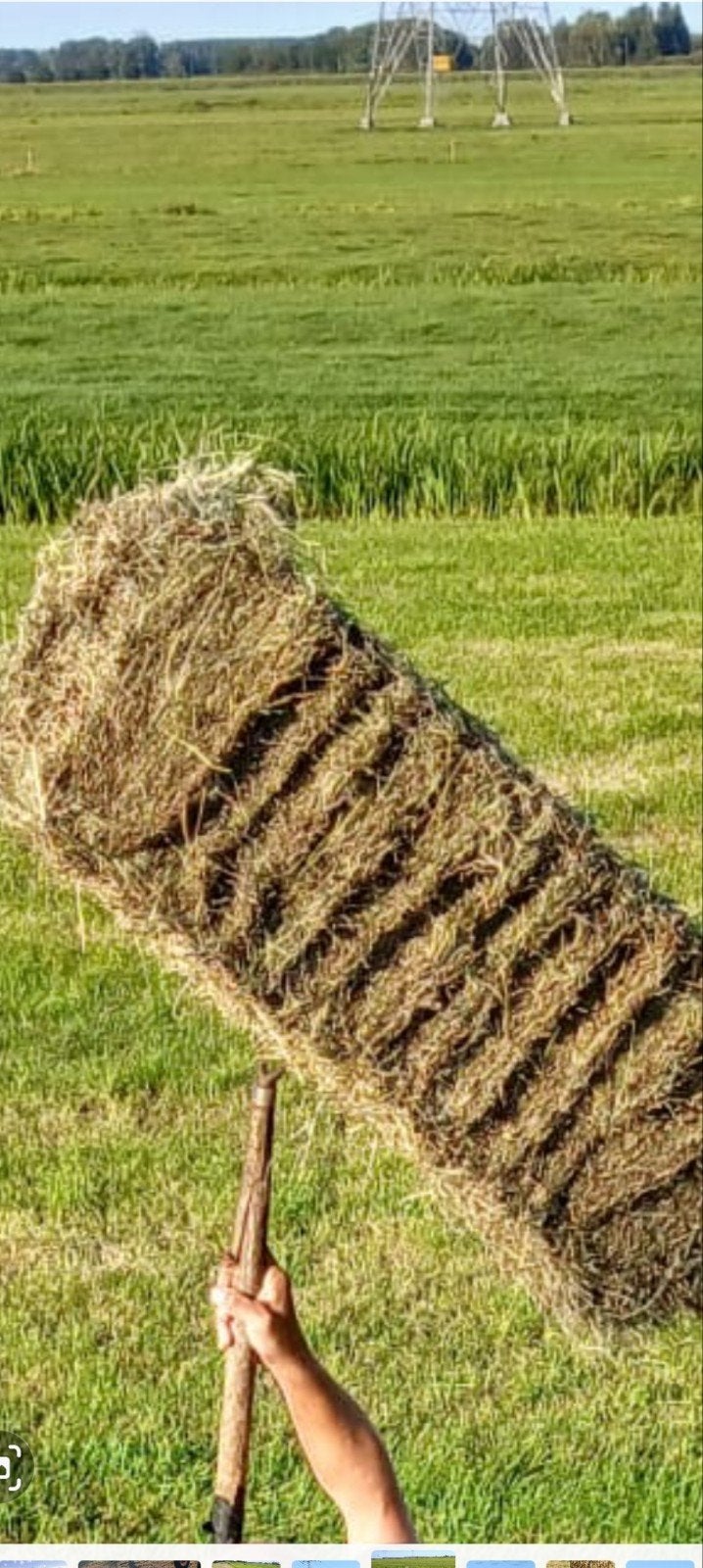 Te koop: hooi pakjes, Dieren en Toebehoren, Dierenvoeding, Ophalen, Vee