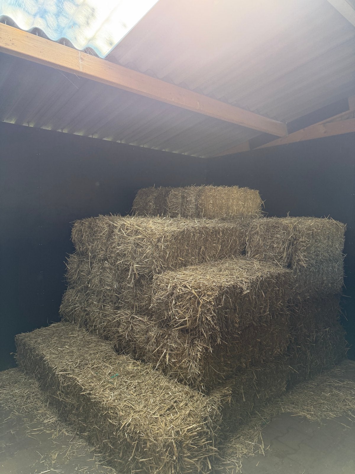 Strobaaltjes te koop - Ideaal voor vee en decoratie, Dieren en Toebehoren, Ophalen of Verzenden