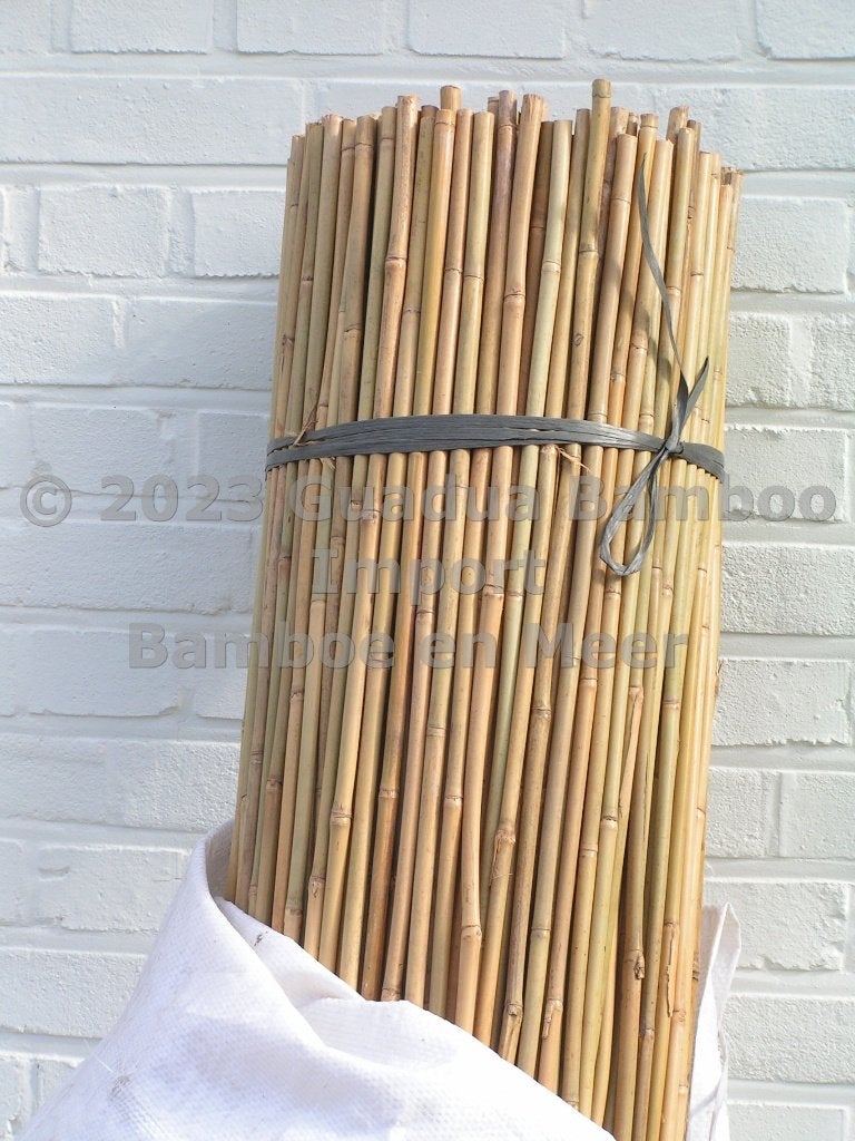 Tonkinstokken bamboestokken bamboe boomsteun plantensteun, Ophalen, Nieuw, 250 cm of meer, Overige typen