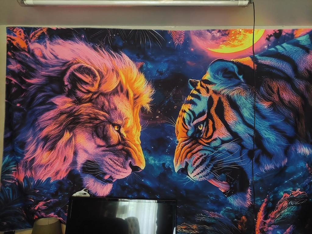 Wanddoek 220cm bij 148cm., Ophalen of Verzenden, Zo goed als nieuw