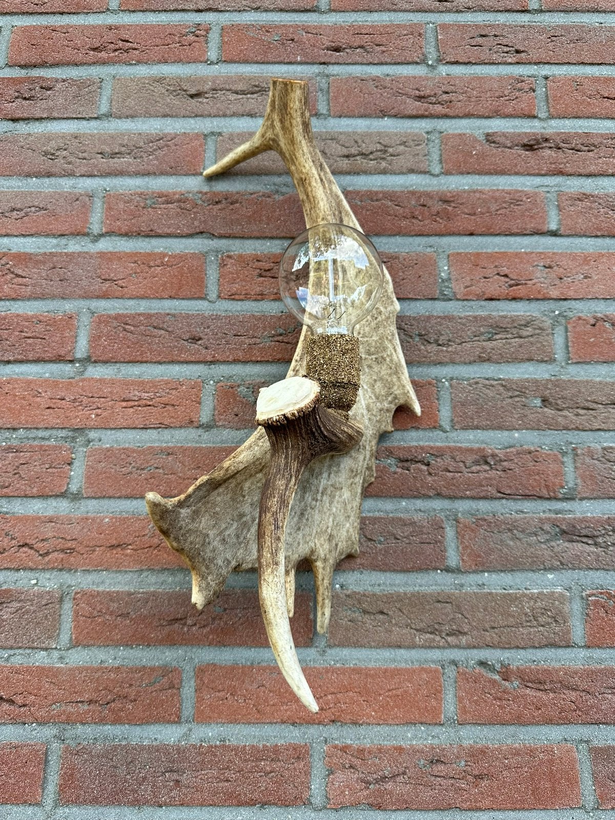 Geweien geweienlamp jacht Veluwe geweien edelhert wandlamp., Ophalen of Verzenden, Nieuw
