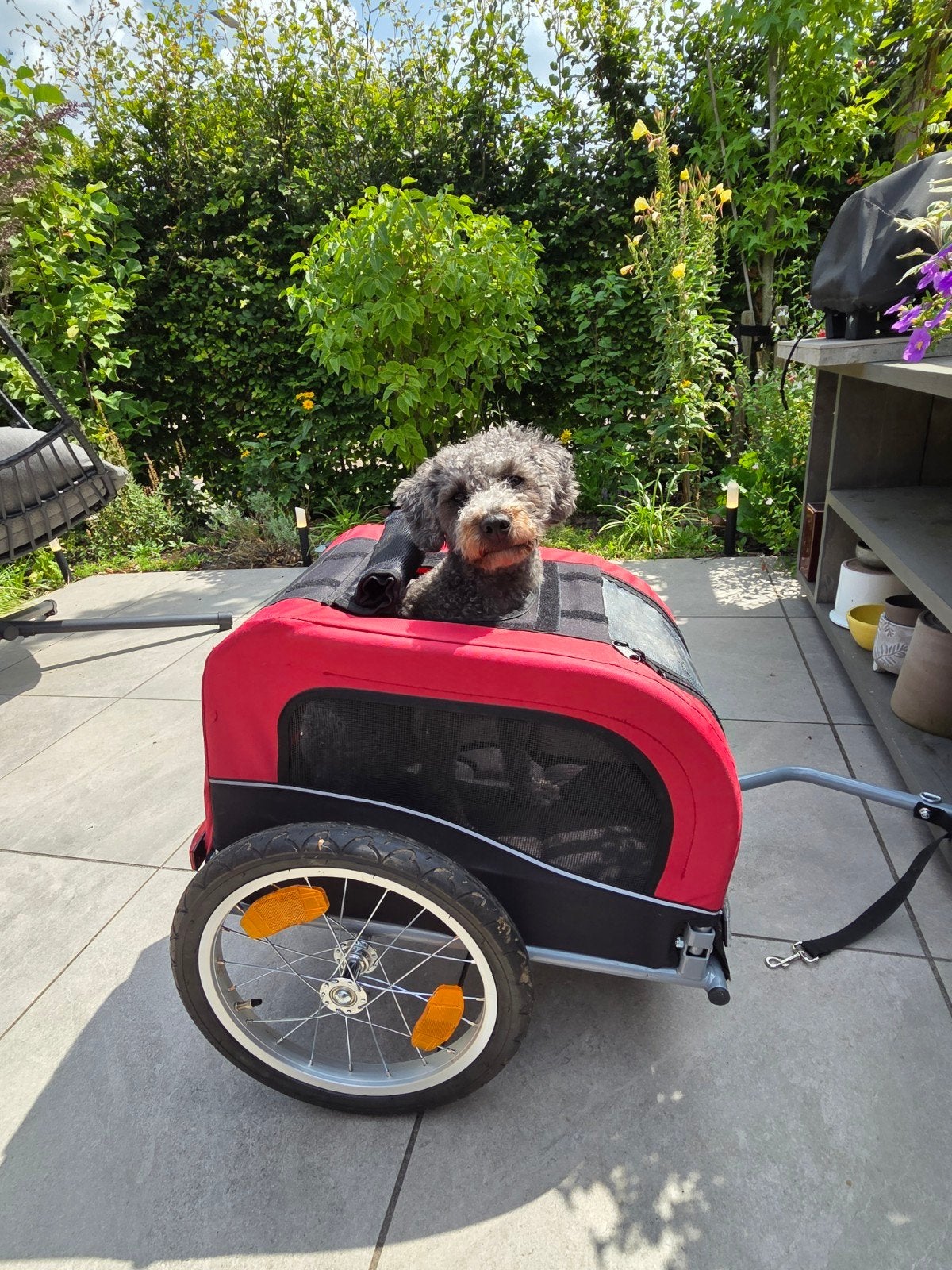Trixie Hondenfietskar - Zwart Rood - Zo goed als nieuw, Ophalen, Trixie, Minder dan 20 kg, Opvouwbaar