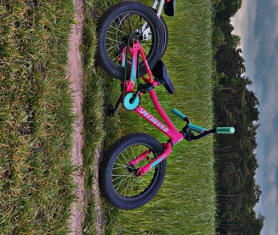 Specialized mini rocker, Ophalen of Verzenden, Zo goed als nieuw, Trapvoertuig