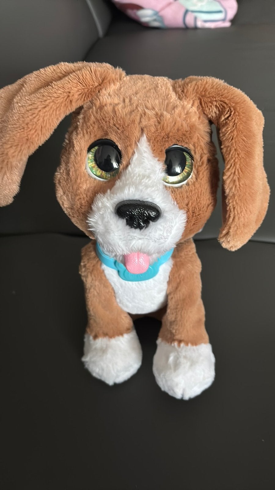 Speelgoed, Ophalen of Verzenden, Zo goed als nieuw, Hond