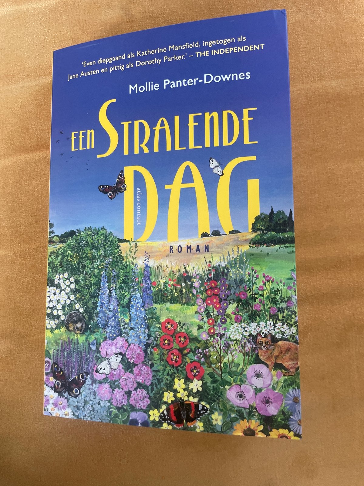 Een Stralende Dag - Mollie Panter-Downes (Roman), Ophalen of Verzenden, Zo goed als nieuw, Nederland