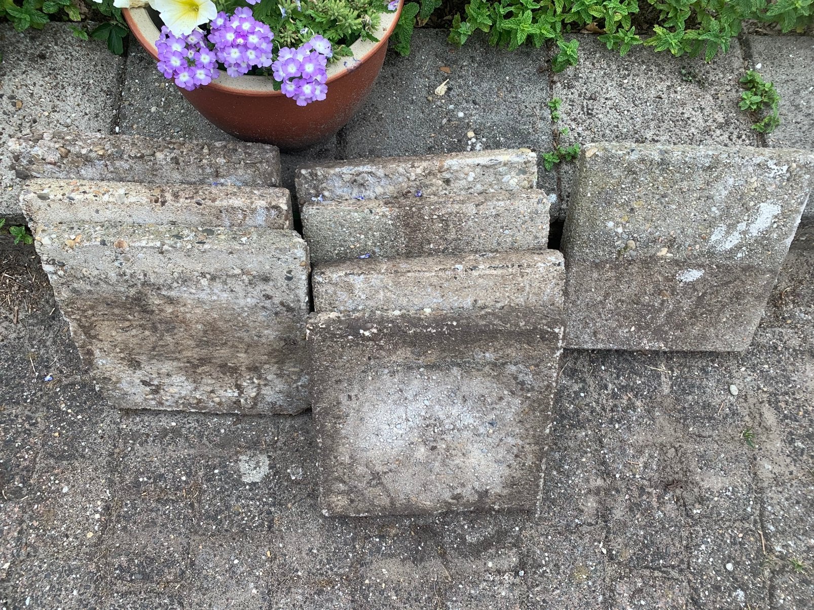 GRATIS 7 stoeptegels 30 x 30  - tuintegels tuin tegels, Tuin en Terras, Ophalen, Gebruikt, Minder dan 5 m², Beton
