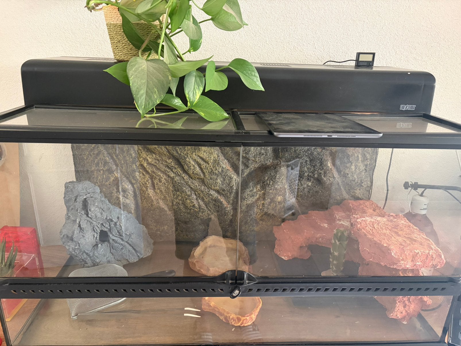 Exo terra terrarium incl originele lichtkap, Dieren en Toebehoren, Reptielen en Amfibieën | Toebehoren, Ophalen, Zo goed als nieuw